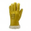 Gants Eurowinter Islande